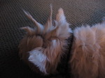 A profile of the spikes, so punk rocker!