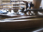 Those long, brown sticks are part of a whale's body--can you guess which part?? They are tanned...and long....